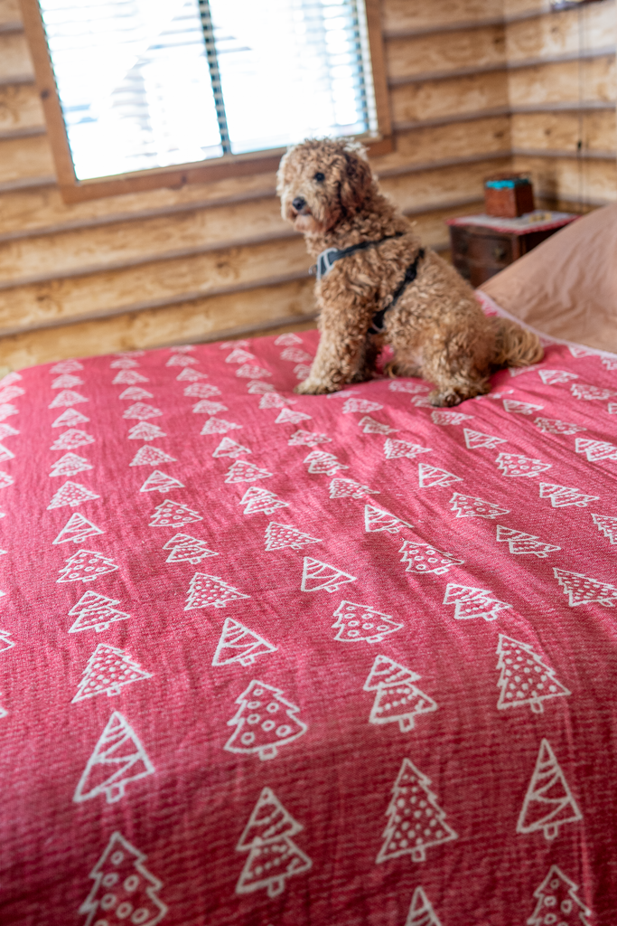 Dog sitting on a bed covered with a red reversible organic cotton Christmas blanket featuring white pine tree patterns in a log cabin room.