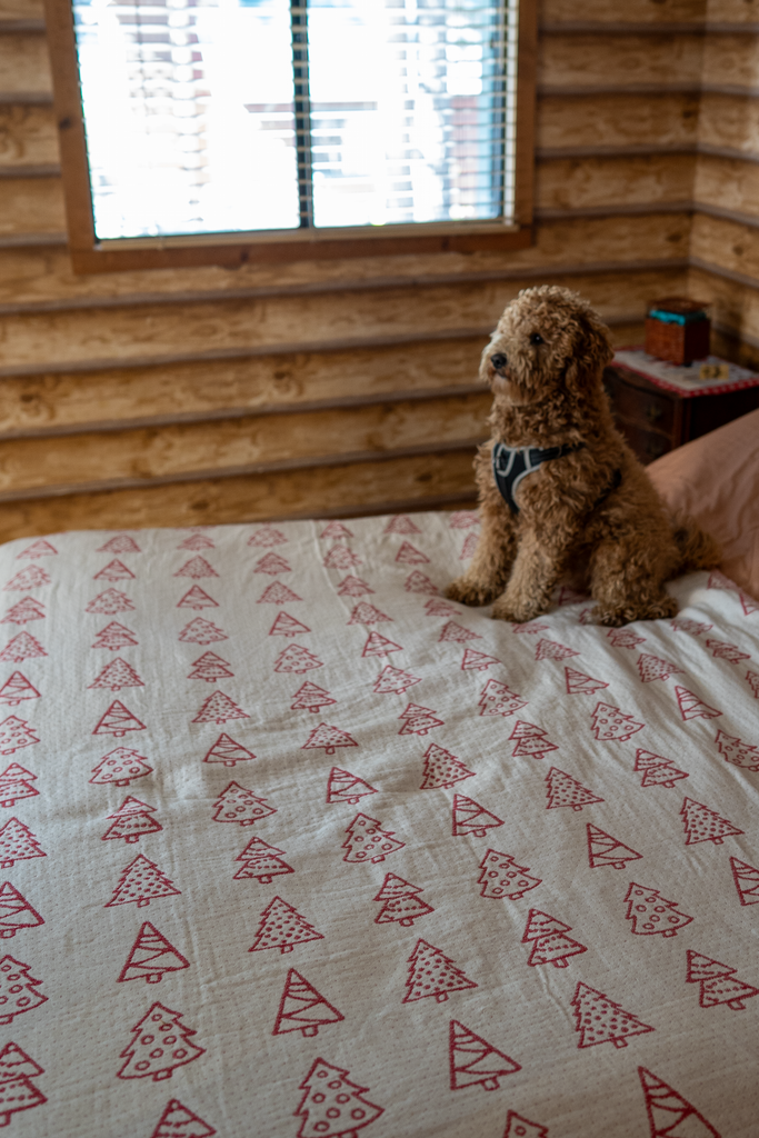 Dog sitting on a bed with a reversible red-and-white pine tree patterned organic cotton Christmas blanket in a cozy wooden cabin bedroom.
