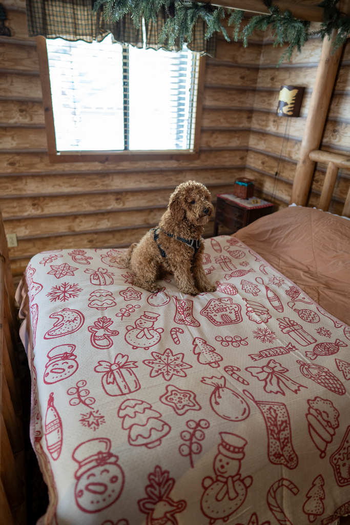 Red and white organic cotton Christmas blanket on a bed inside a cozy wooden cabin, with a small dog sitting on top.