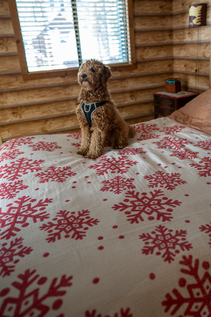 Red & white reversible Xmas Snowflake Blanket made from 100% organic Turkish cotton, winter cabin bed scene with dog — Otantica Home holiday throw.