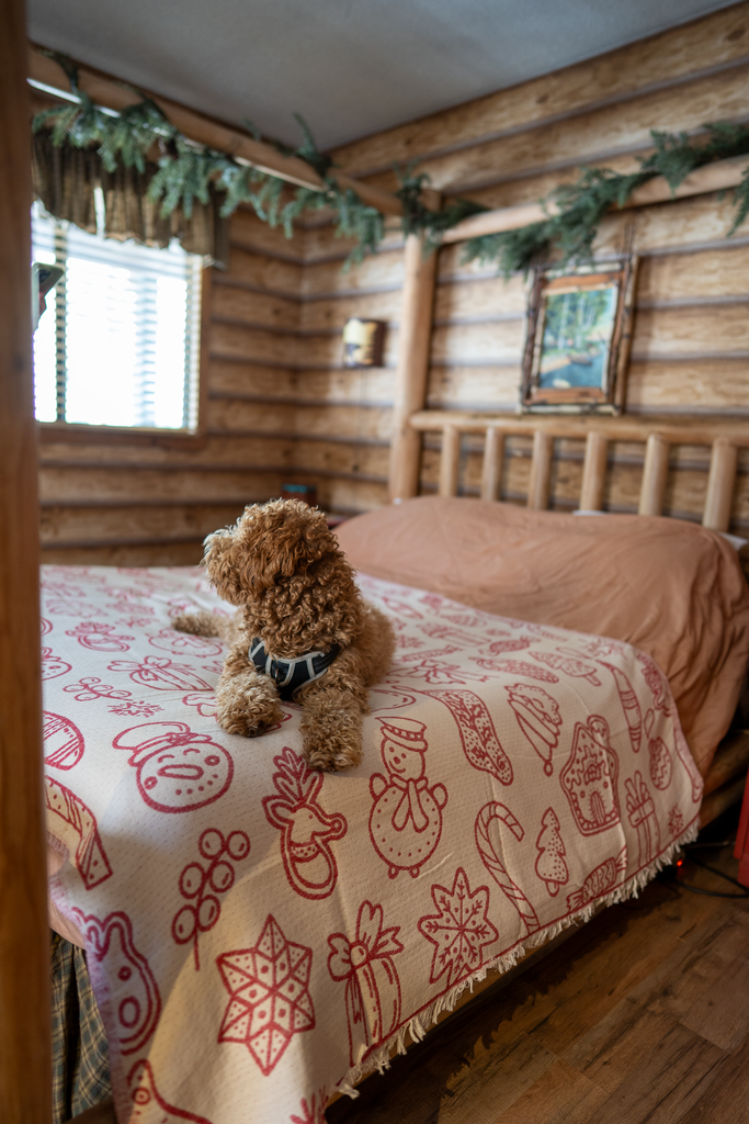 Small dog sitting on a bed covered with a red and white Christmas blanket inside a log cabin bedroom.