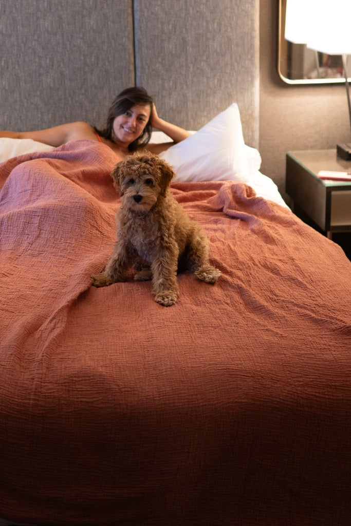 Woman relaxing in bed under a blush muslin blanket with a small dog sitting on top, showing cozy bedroom use and large blanket size.
