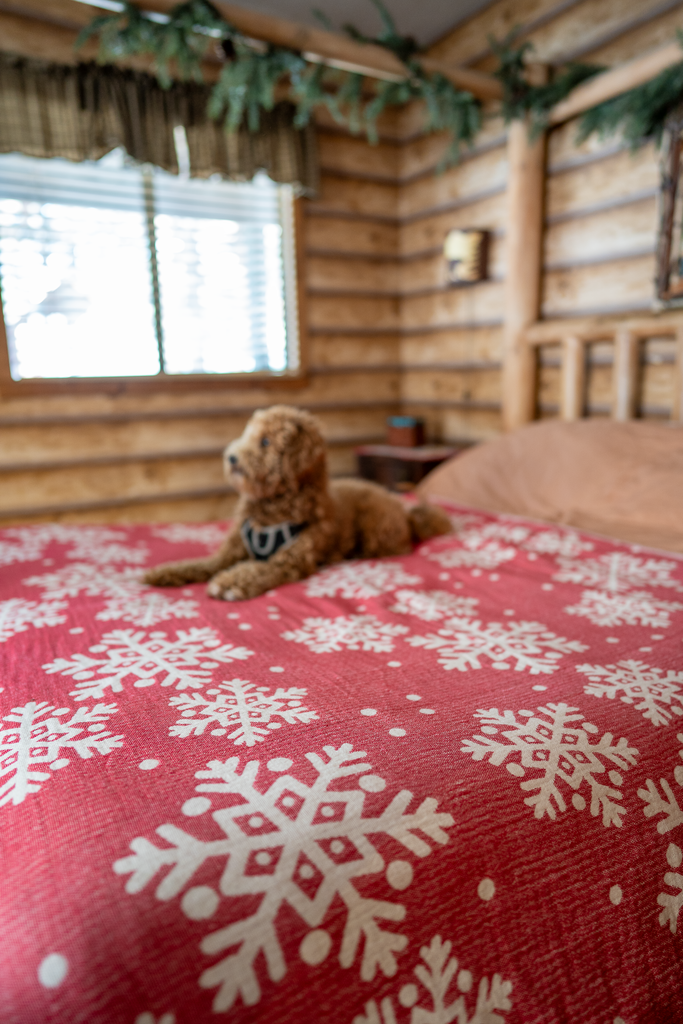 Xmas Snowflake Blanket Red & White — organic cotton Christmas blanket with white snowflake pattern on red base, displayed on a cabin bed with a dog. Otantica Home holiday decor.
